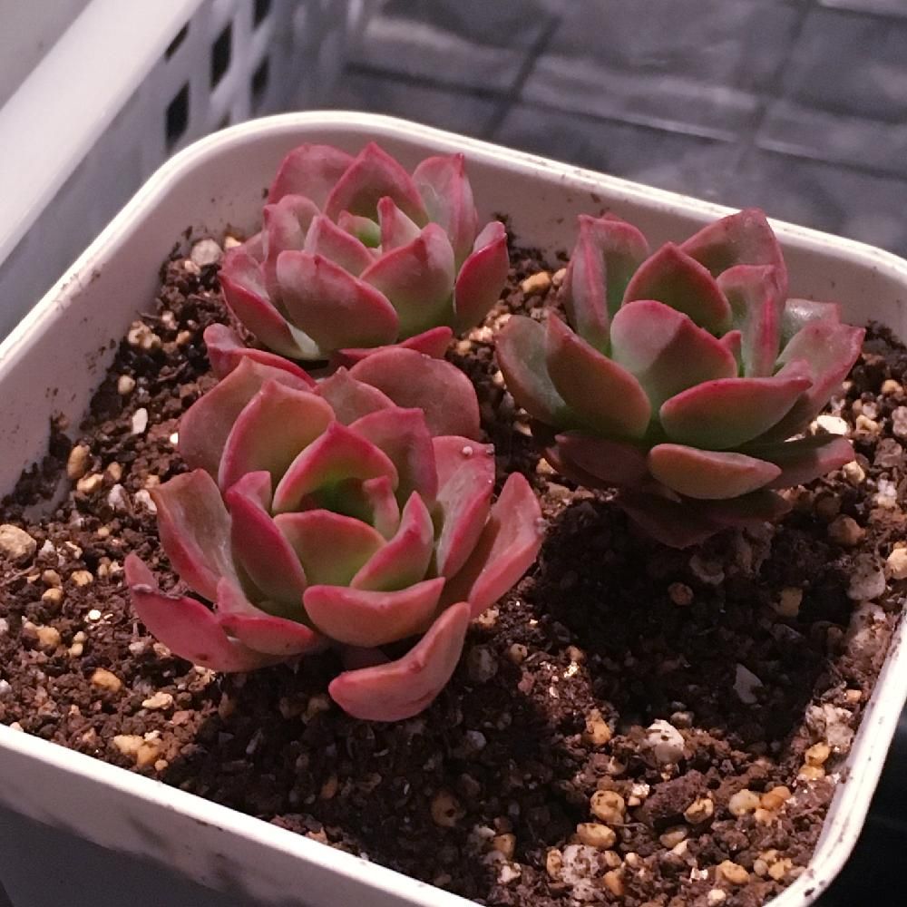 Photo by TADASHIさん