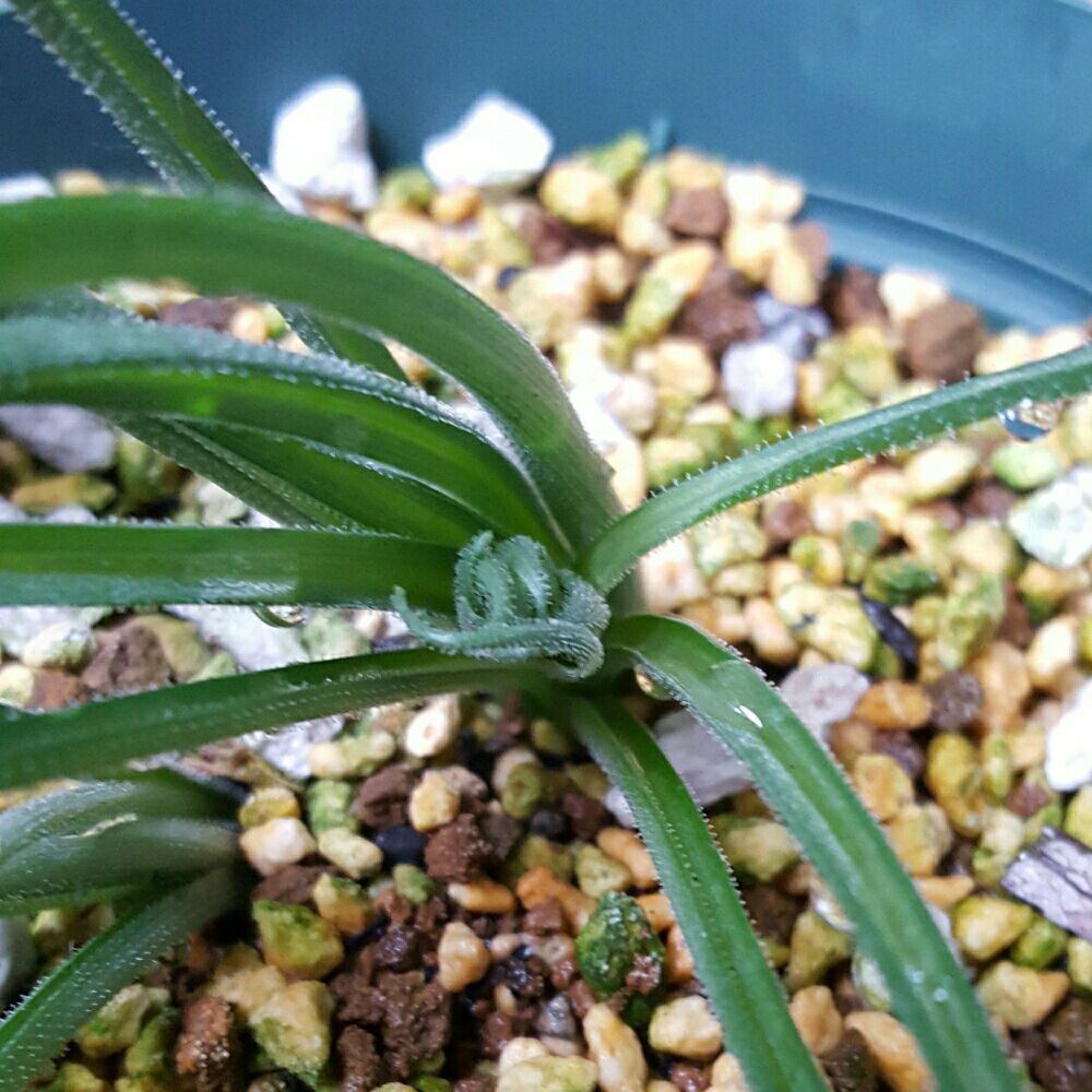 Photo by ソラさん