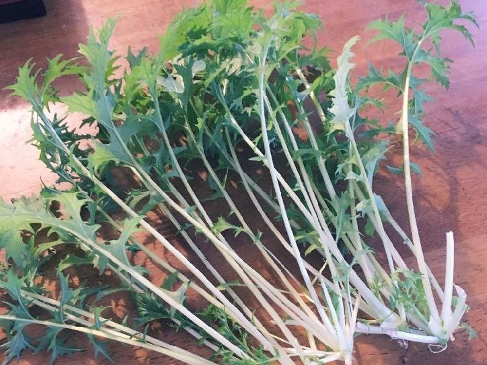 水菜(ミズナ)　収穫した葉