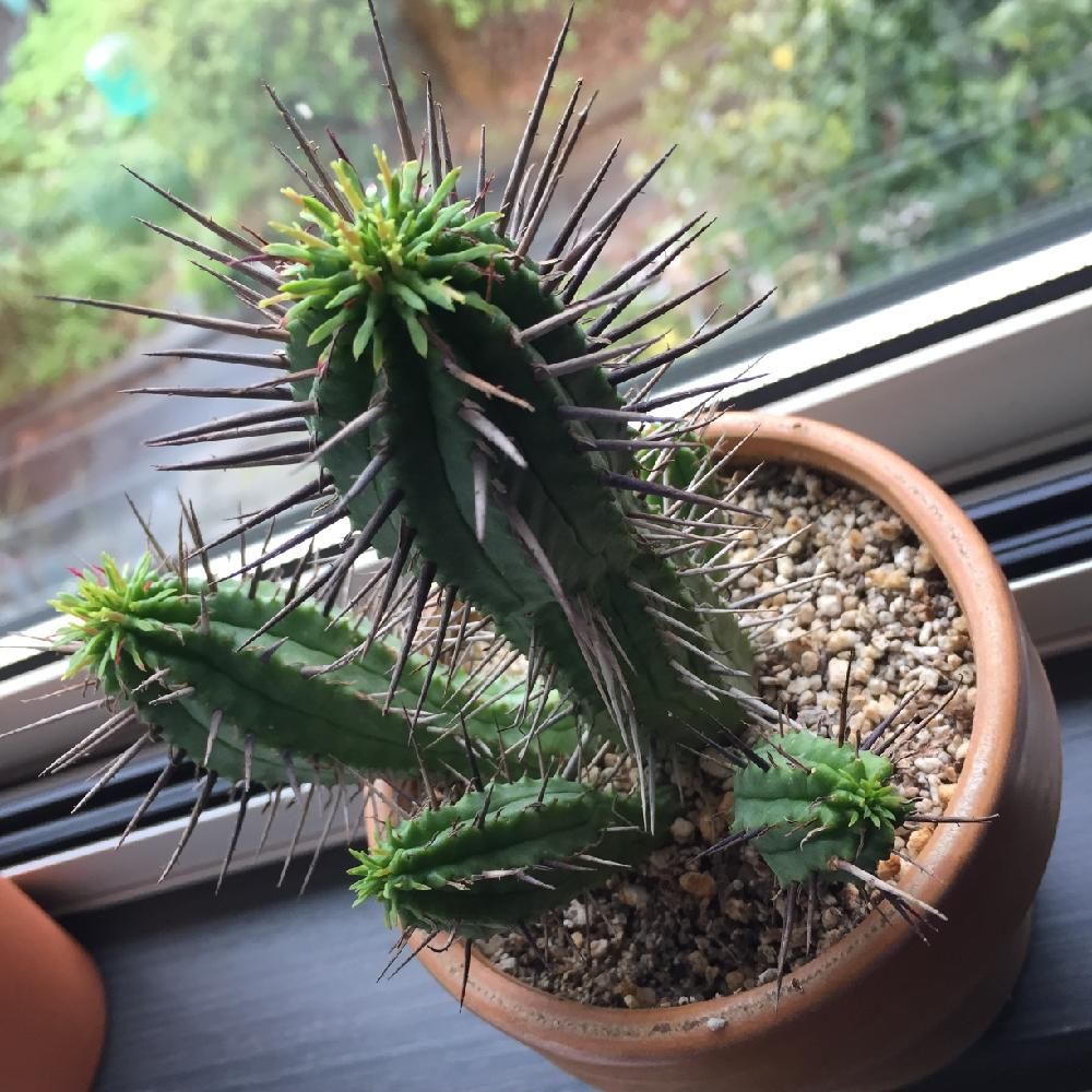 Photo by yukalitaさん