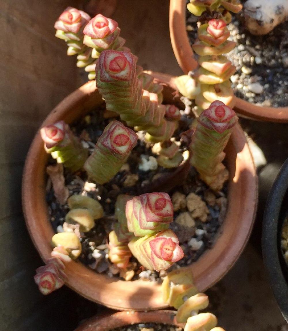 Photo by ashiyaaanさん