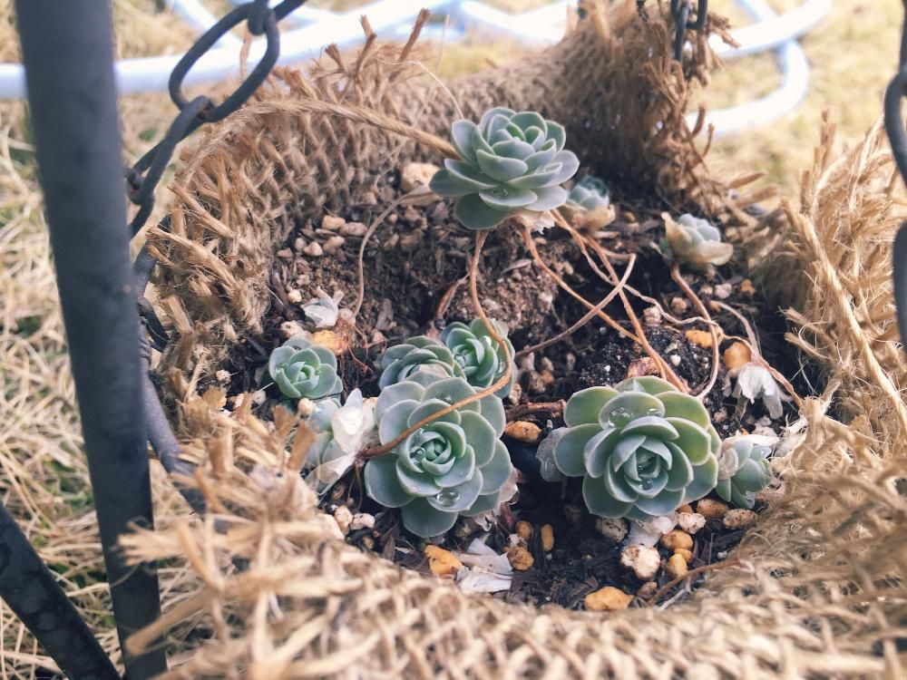 Photo by coffeeさん