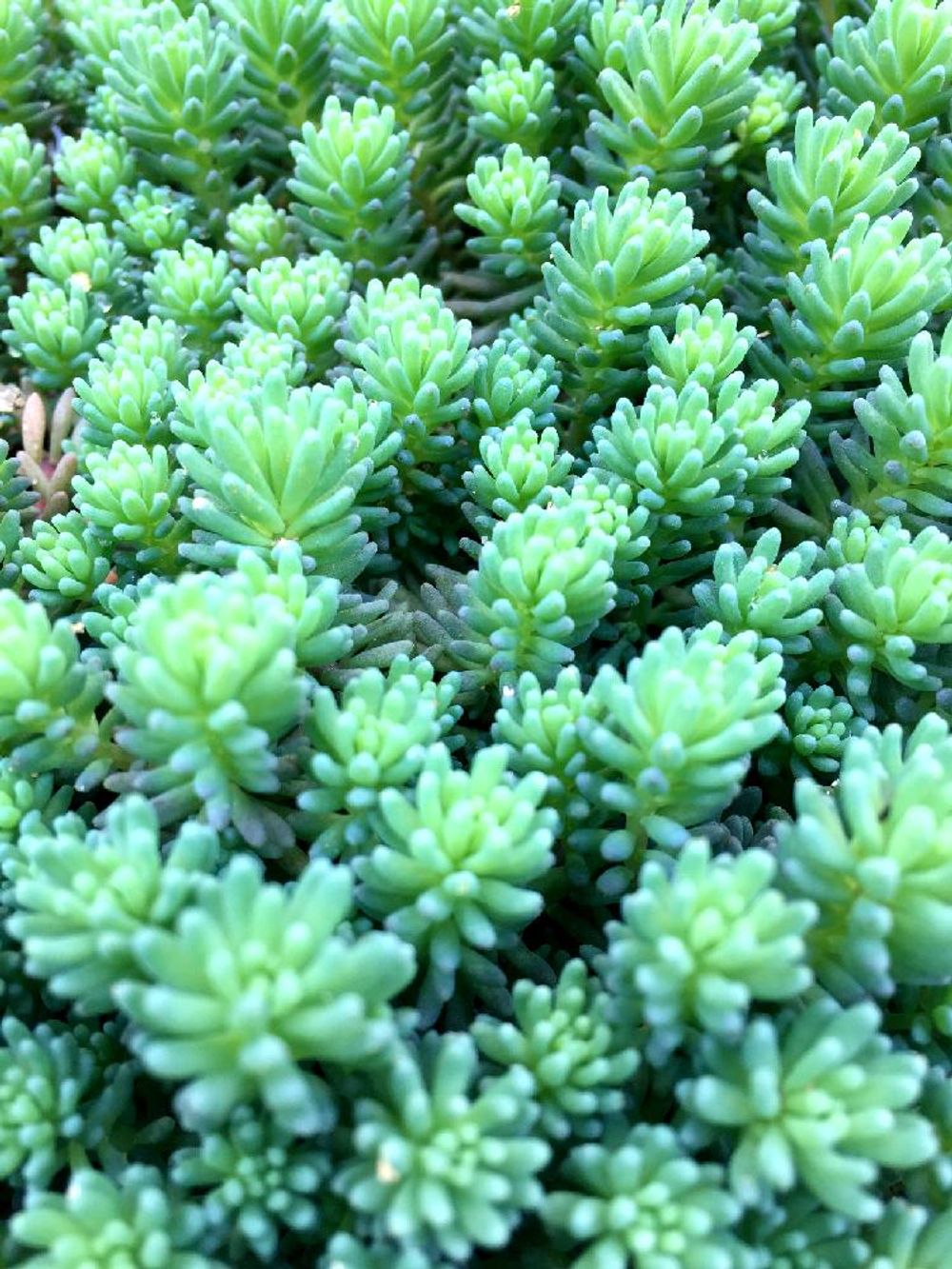 Photo by まっきーさん