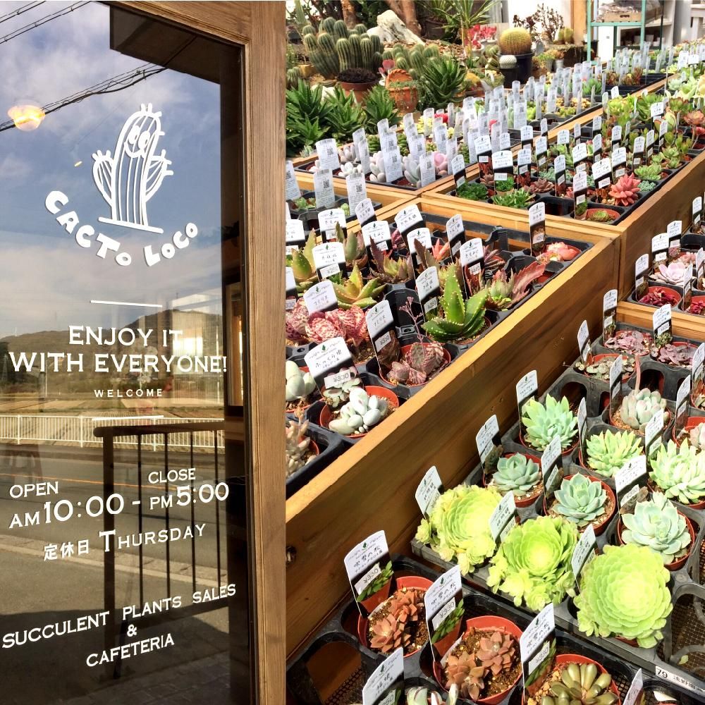 Photo by 菜の花♬さん