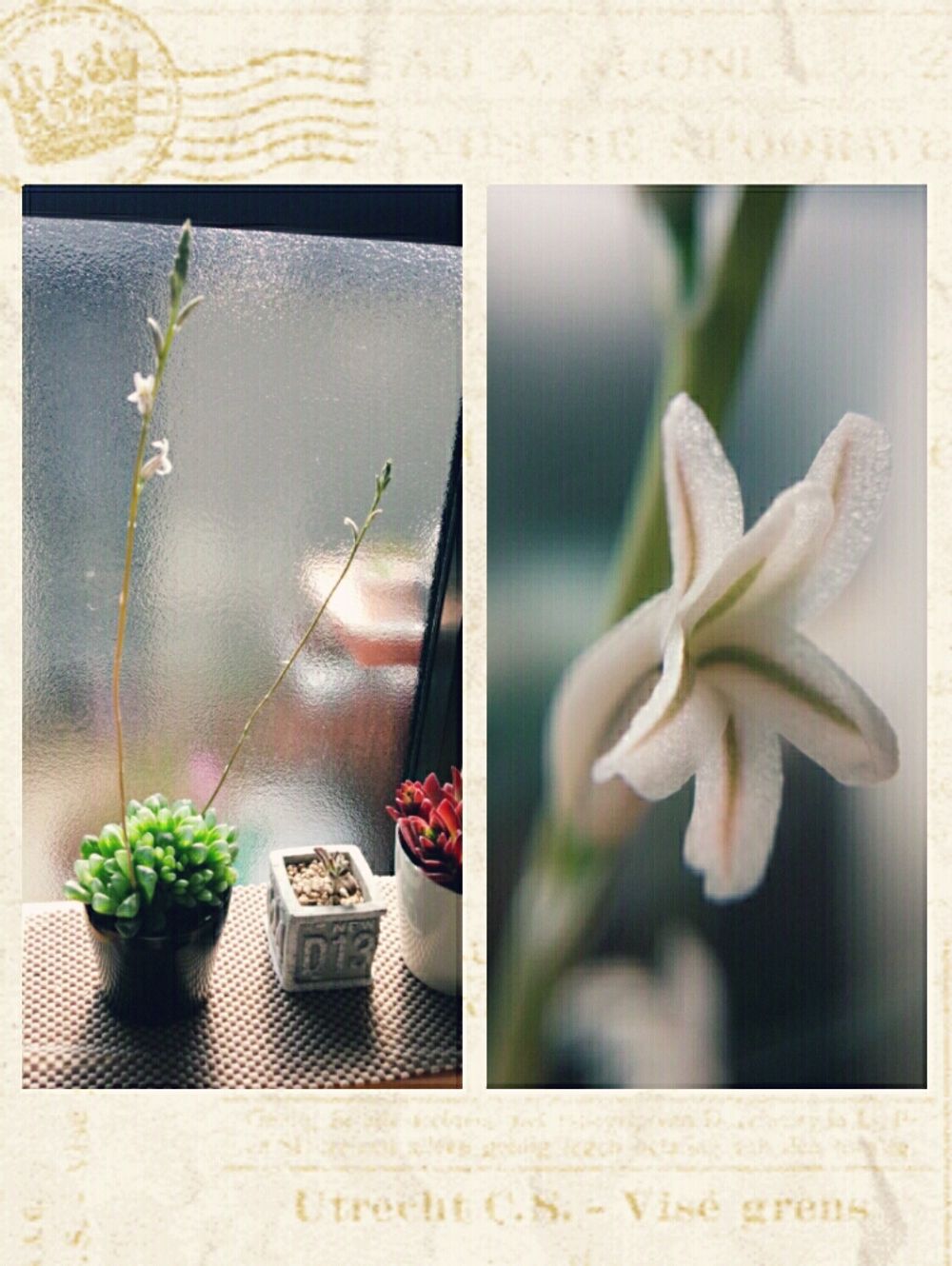 Photo by てんてんさん