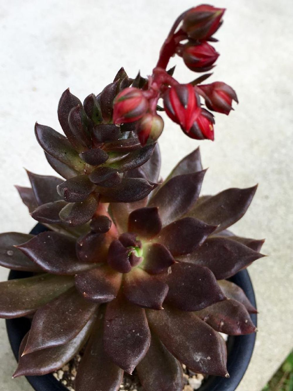 Photo by さっちゃんさん