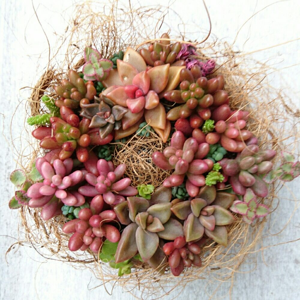 Photo by i-mutsumiさん