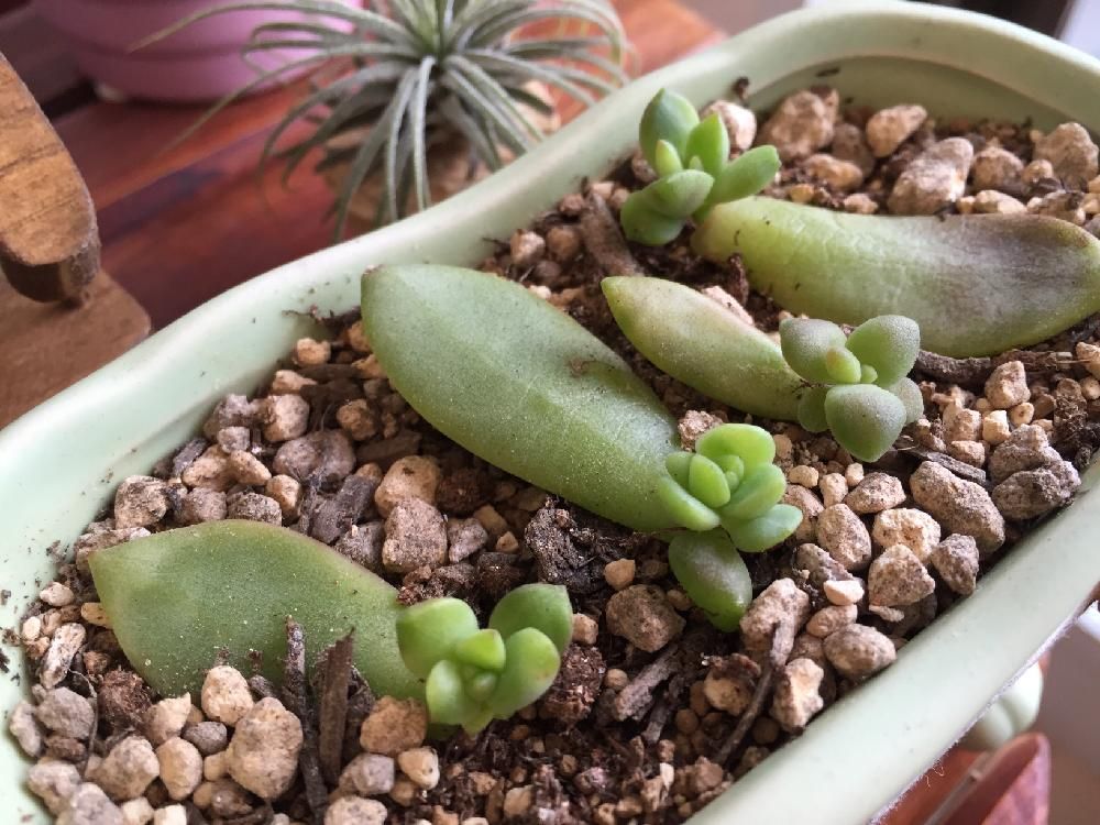 Photo by まっきぃさん