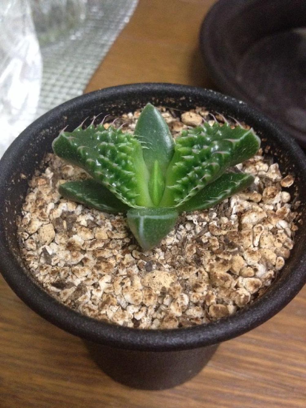 Photo by Asfurさん