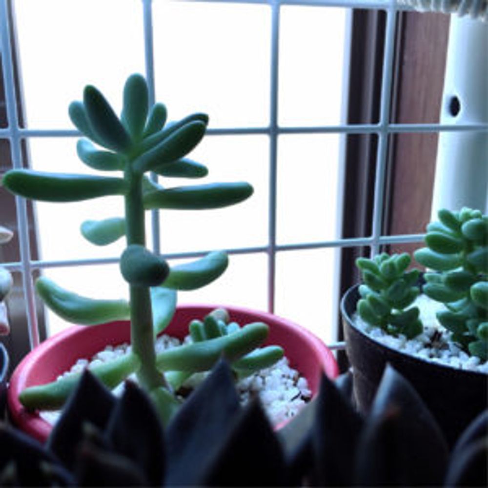 Photo by chiruyaさん