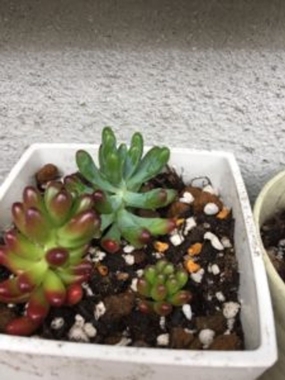 Photo by アダチタニクさん