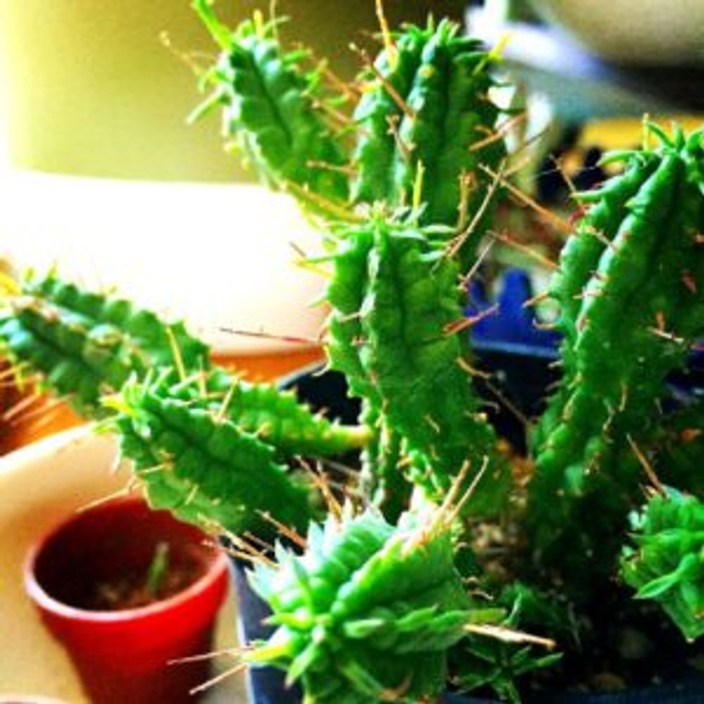 Photo by 花ママさん