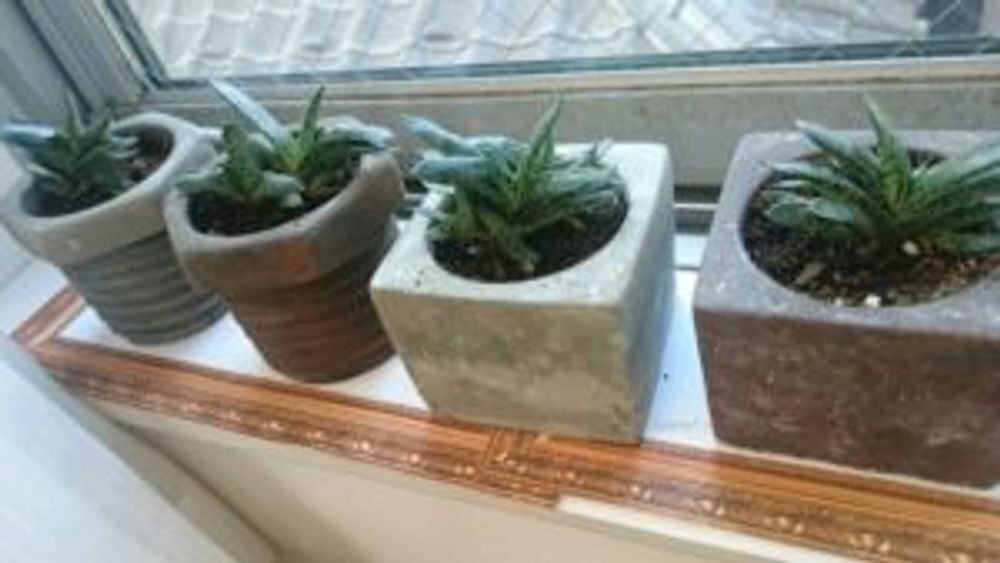 Photo by ジャムsunsさん