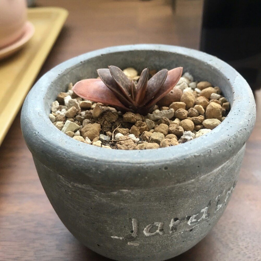 032093fb74988b8be2d4467d80cd87