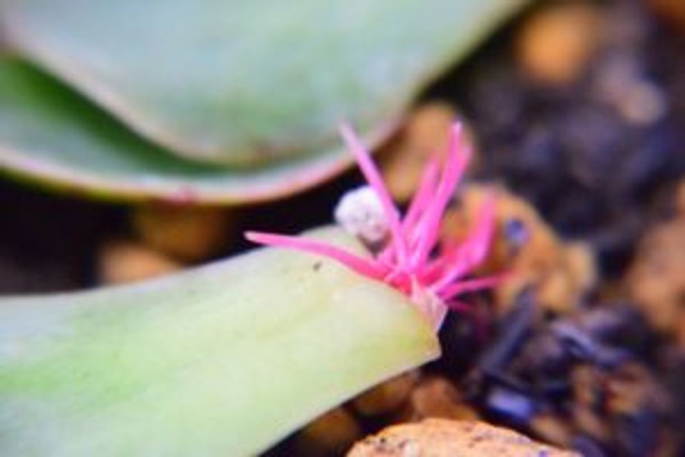 Photo by そらさん