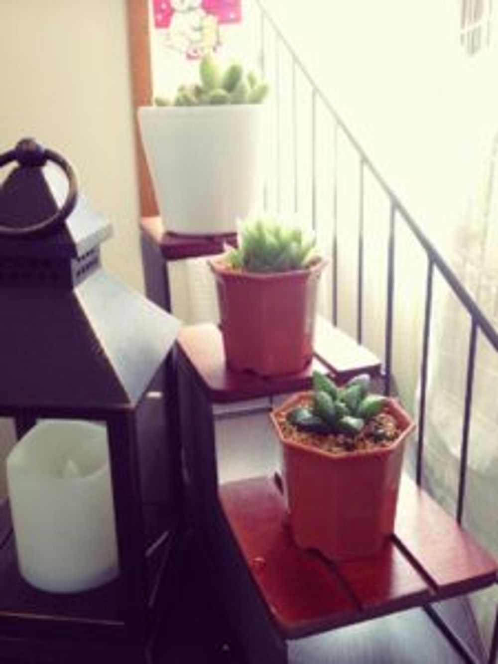 Photo by 氷麗さん