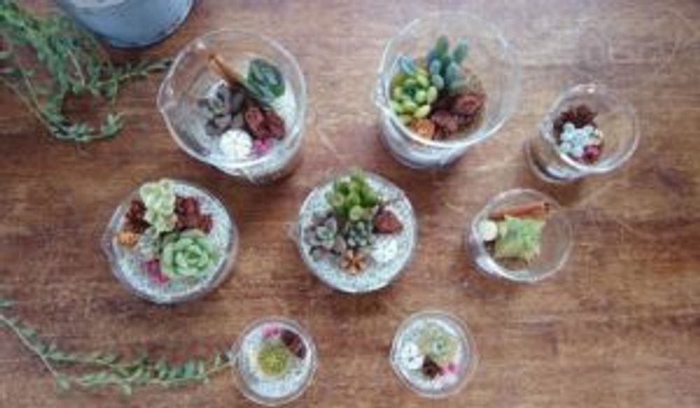 Photo by mayulyさん