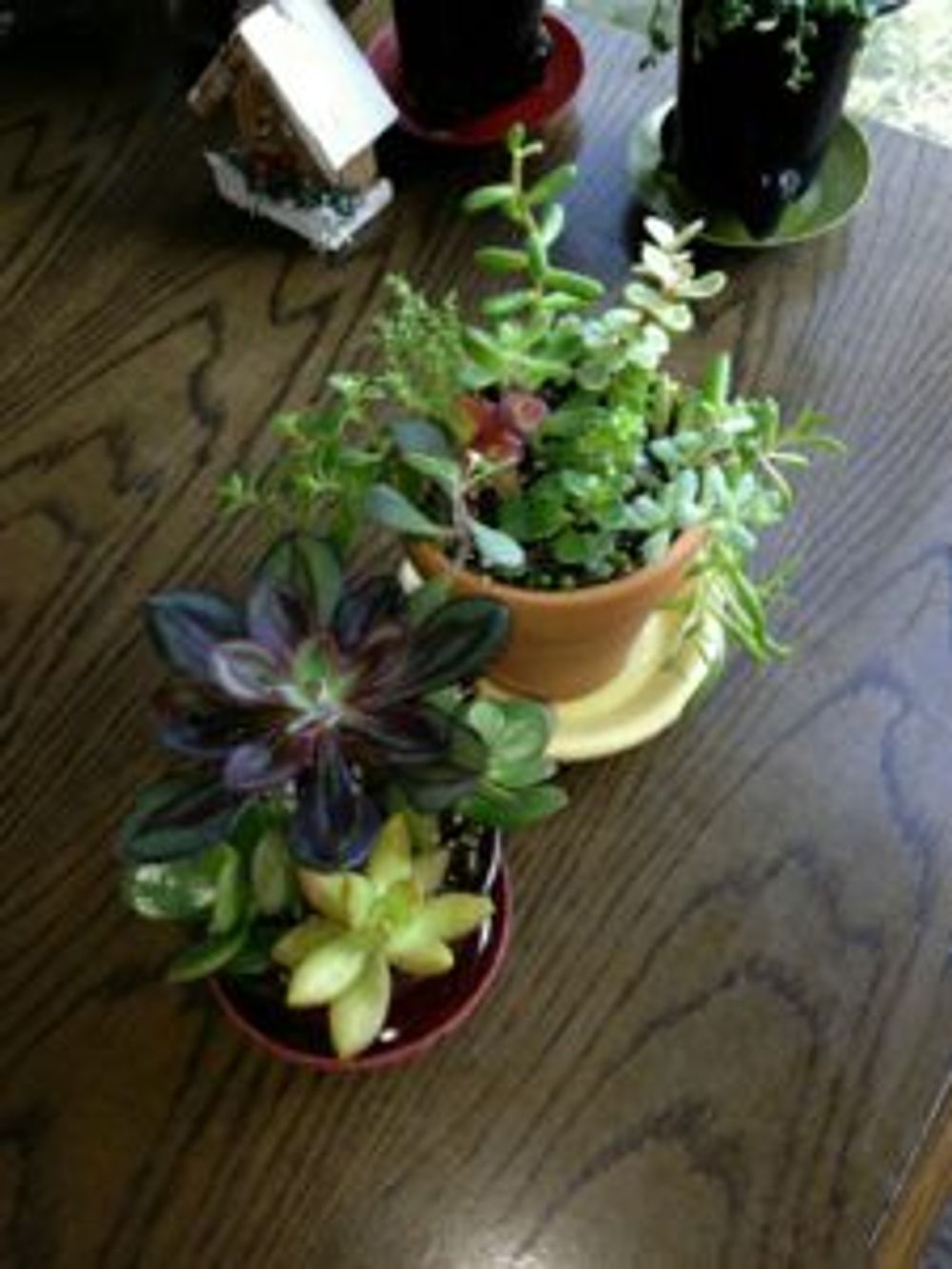 Photo by じゅんじゅん