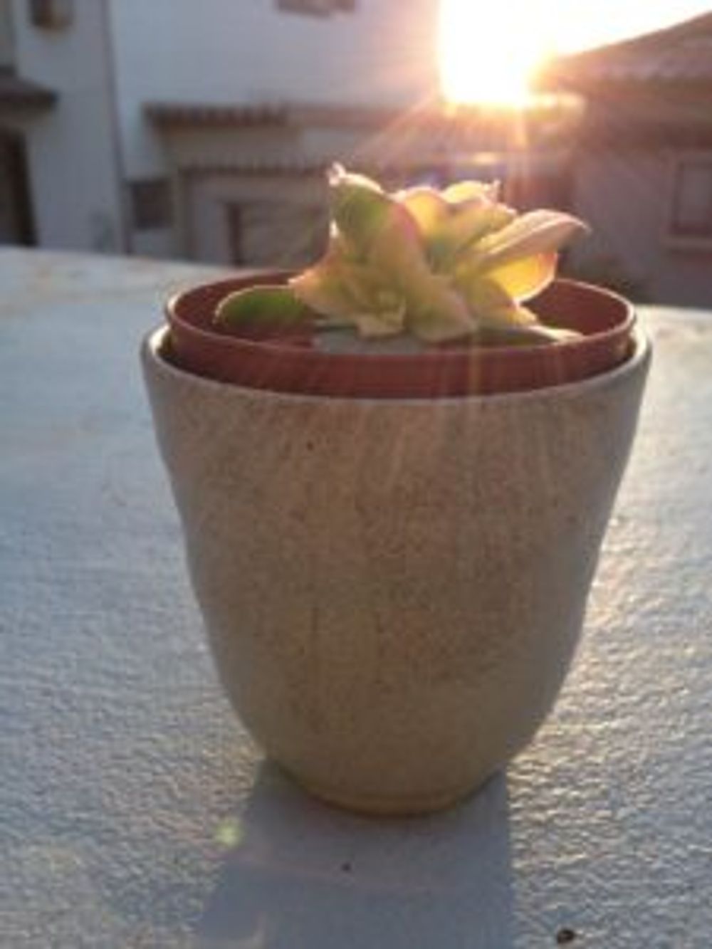 Photo by ぐろりおさnさん