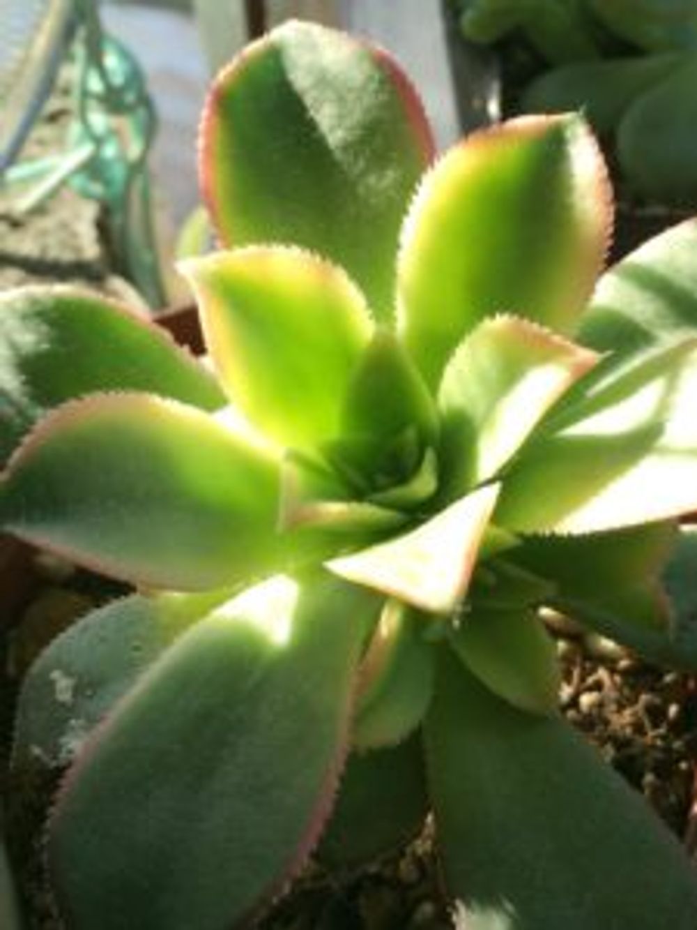 Photo by 詠子379さん