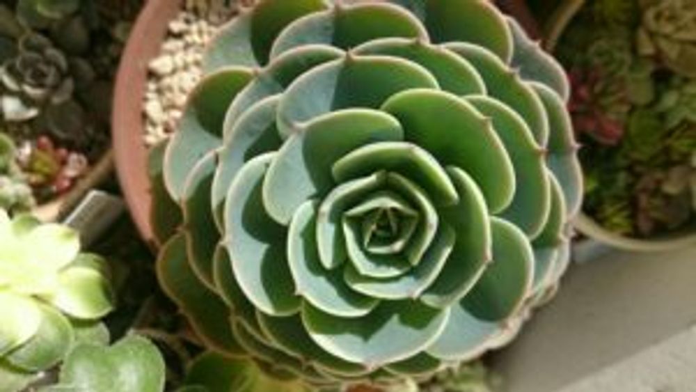 Photo by まっちゃんさん