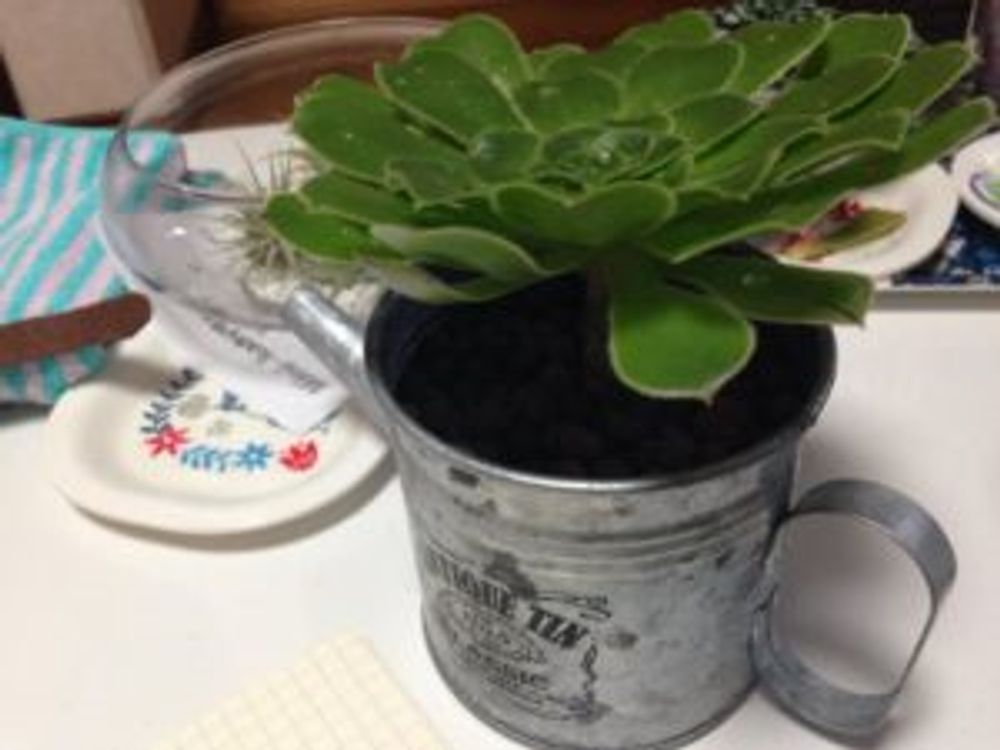 Photo by えみのすけさん