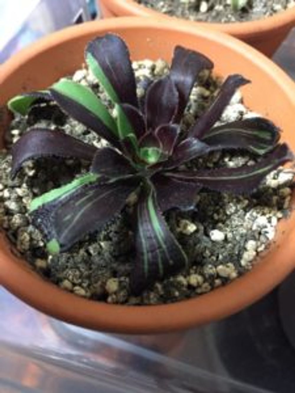 Photo by kkkeeeさん