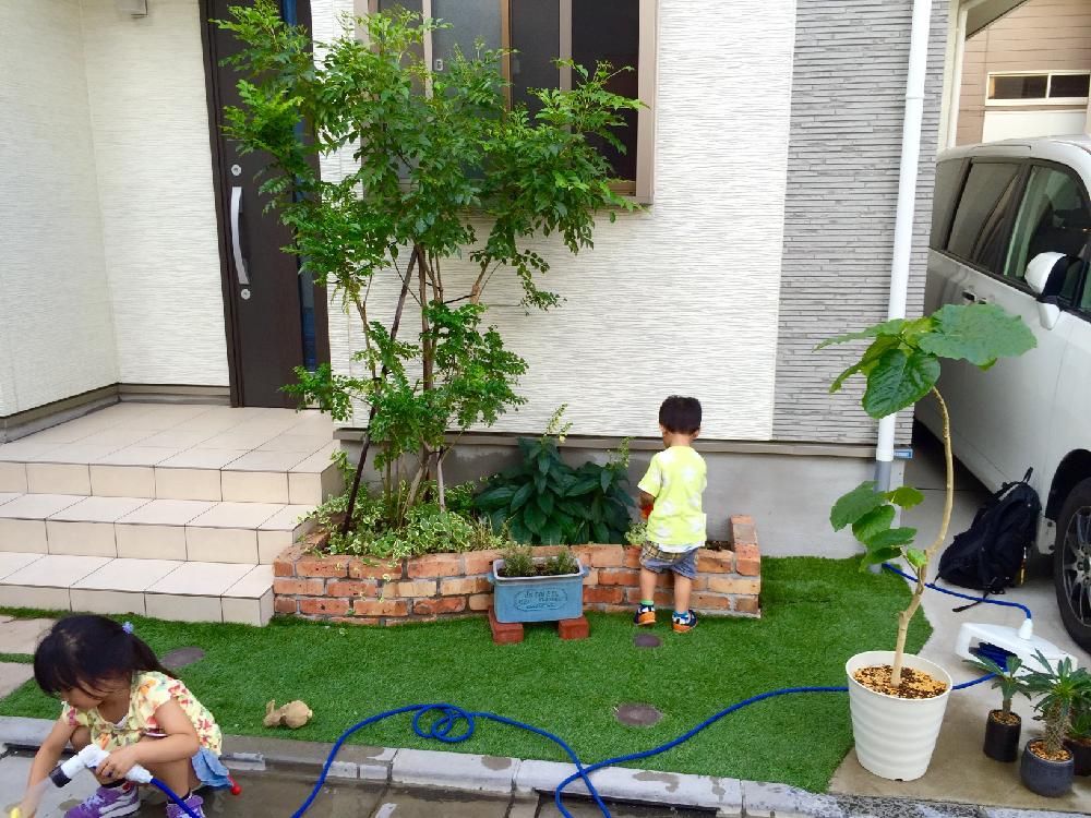 シンフォリカルポス　庭　植木