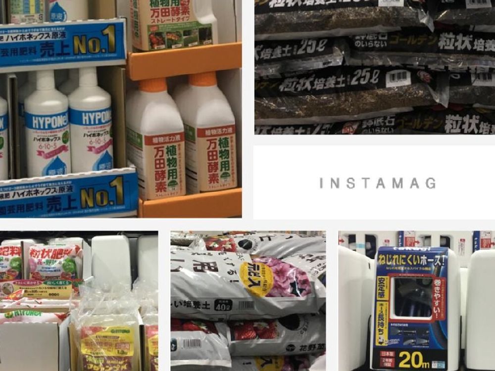 シンフォリカルポス　肥料