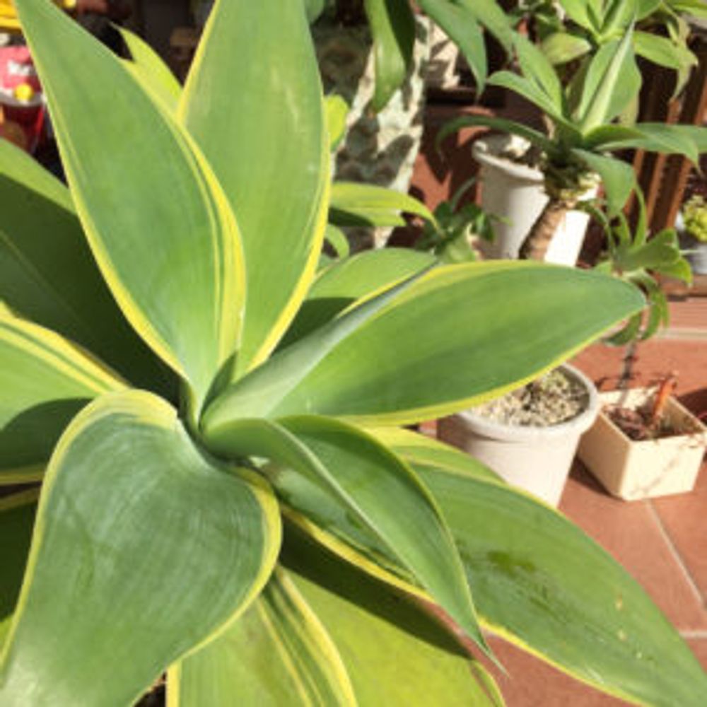 Photo by ひっさゆさん