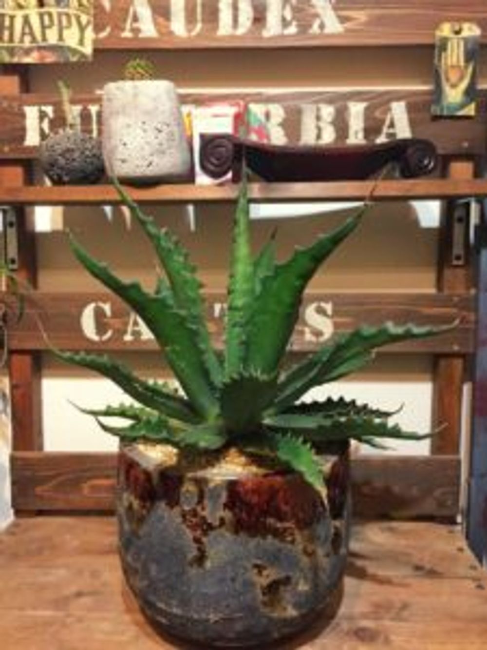 Photo by tobioさん