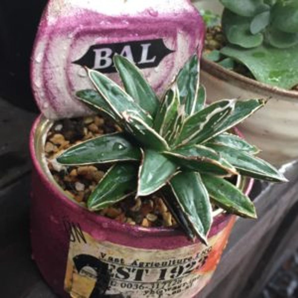 hoto by 空ママさん