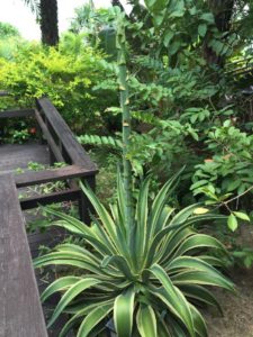 Photo by モンパさん