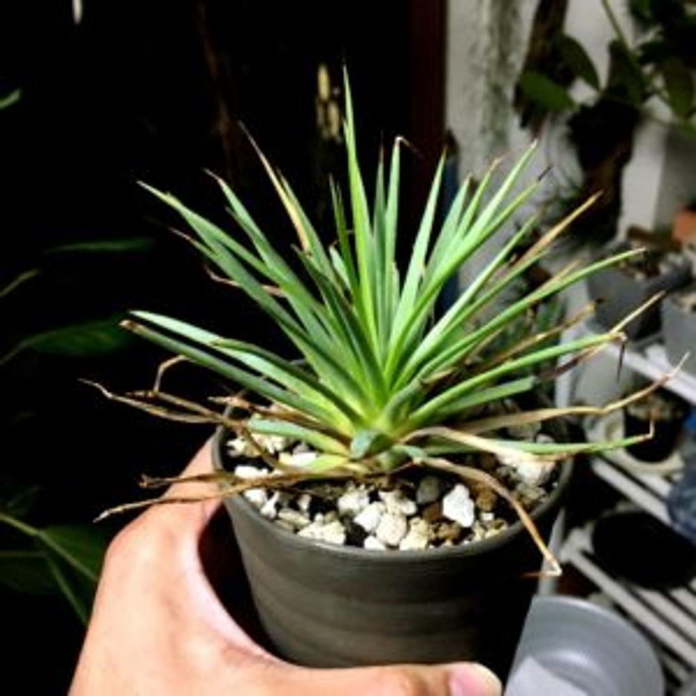 Photo by ひろさん