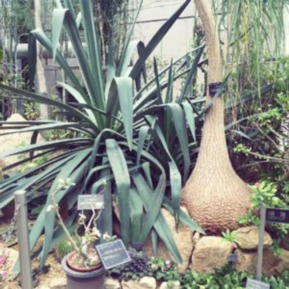 Photo by whiteさん