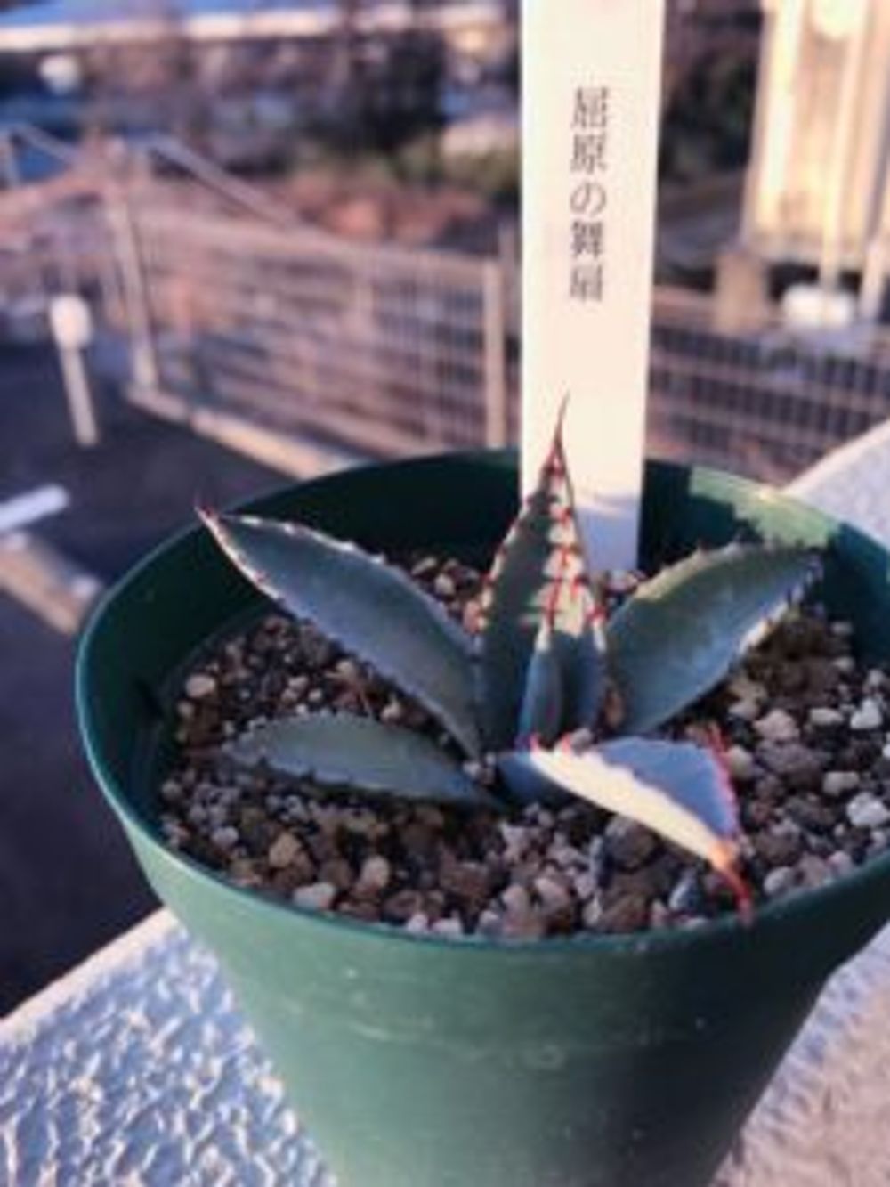 Photo by ryuu2さん