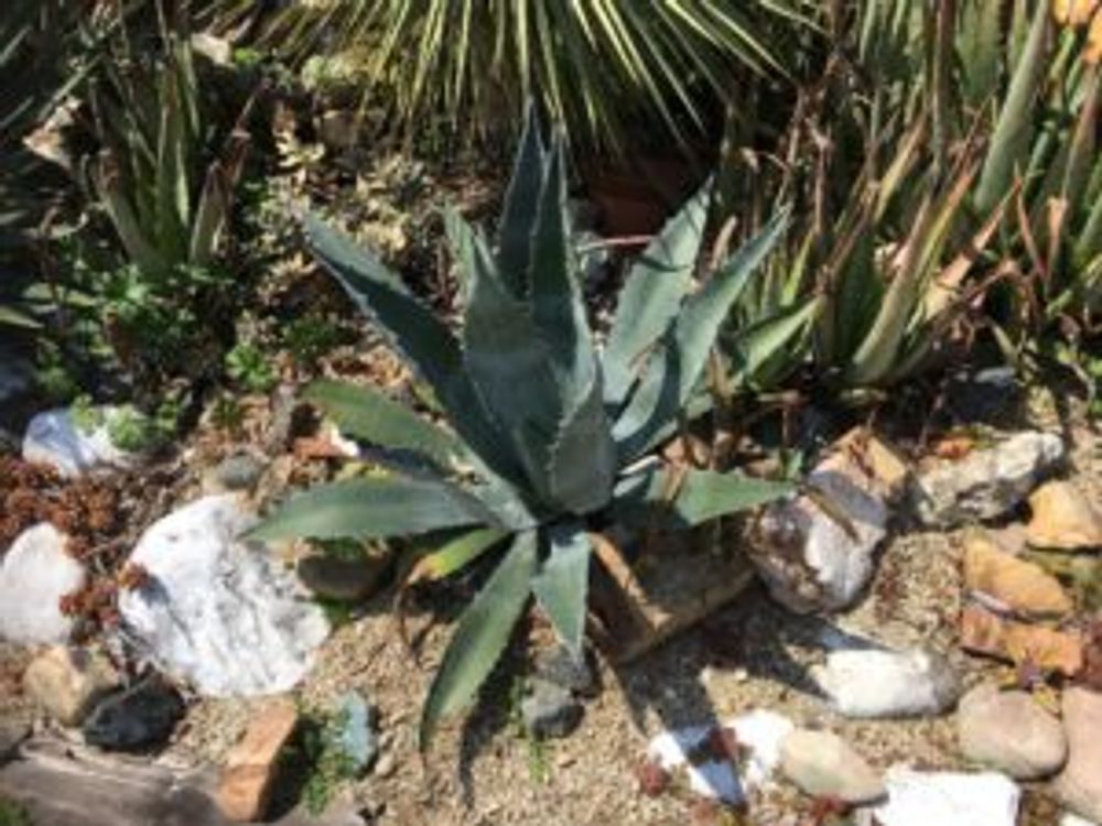 Photo by トム子さん