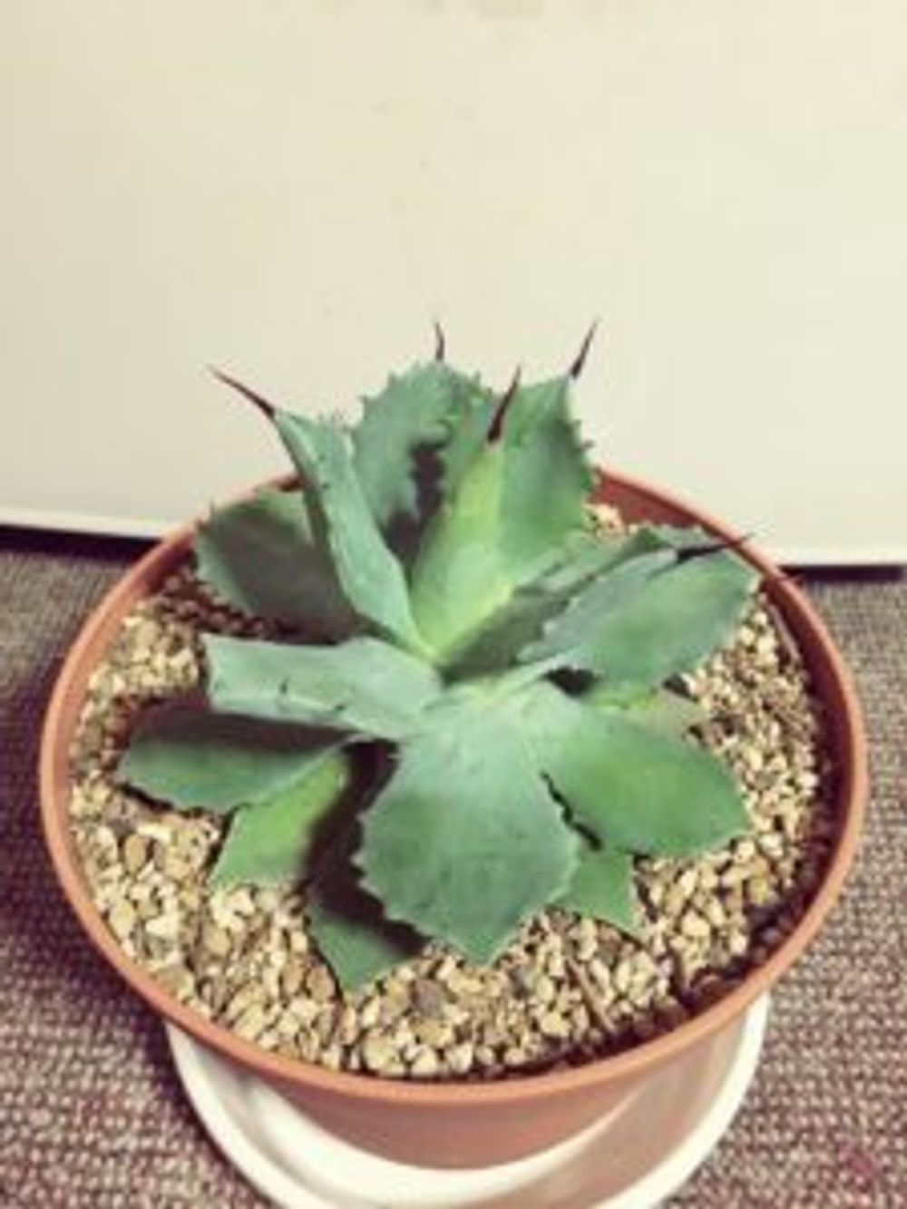 Photo by ケイちゃんさん