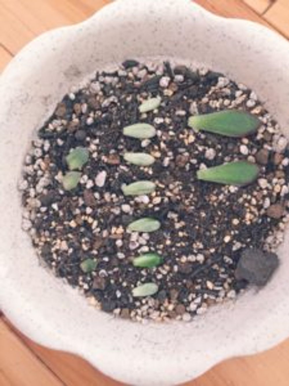 Photo by 優愛さん