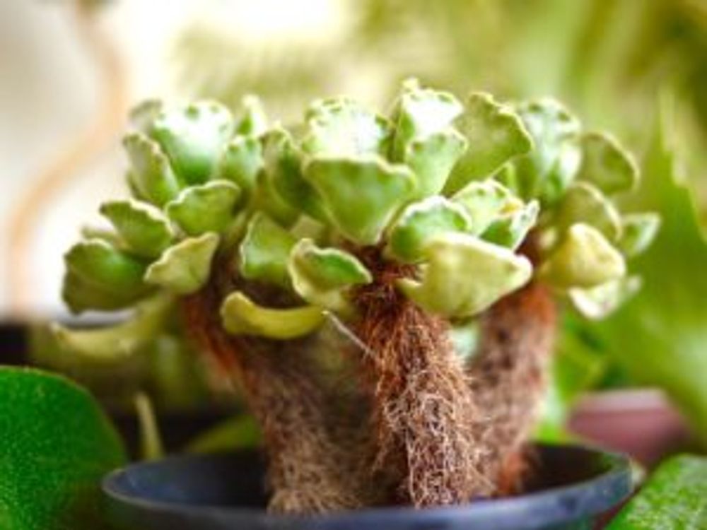 Photo by かつさん