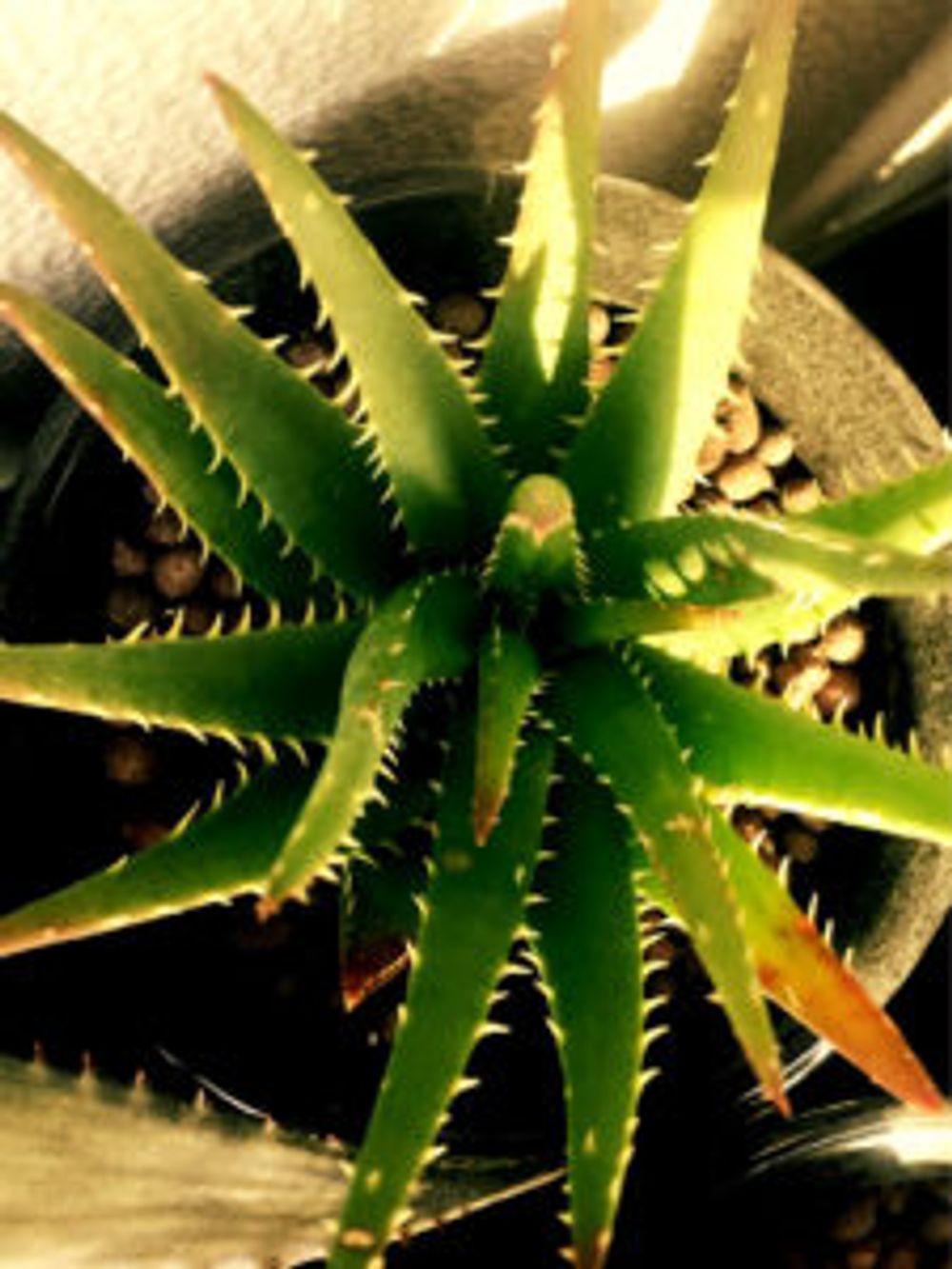 Photo by サムライ☆さん