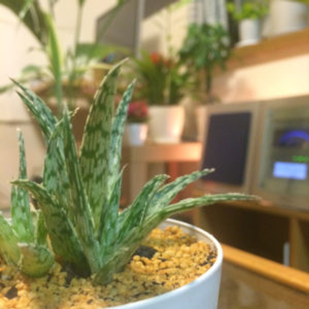 Photo by mohiiiiiさん