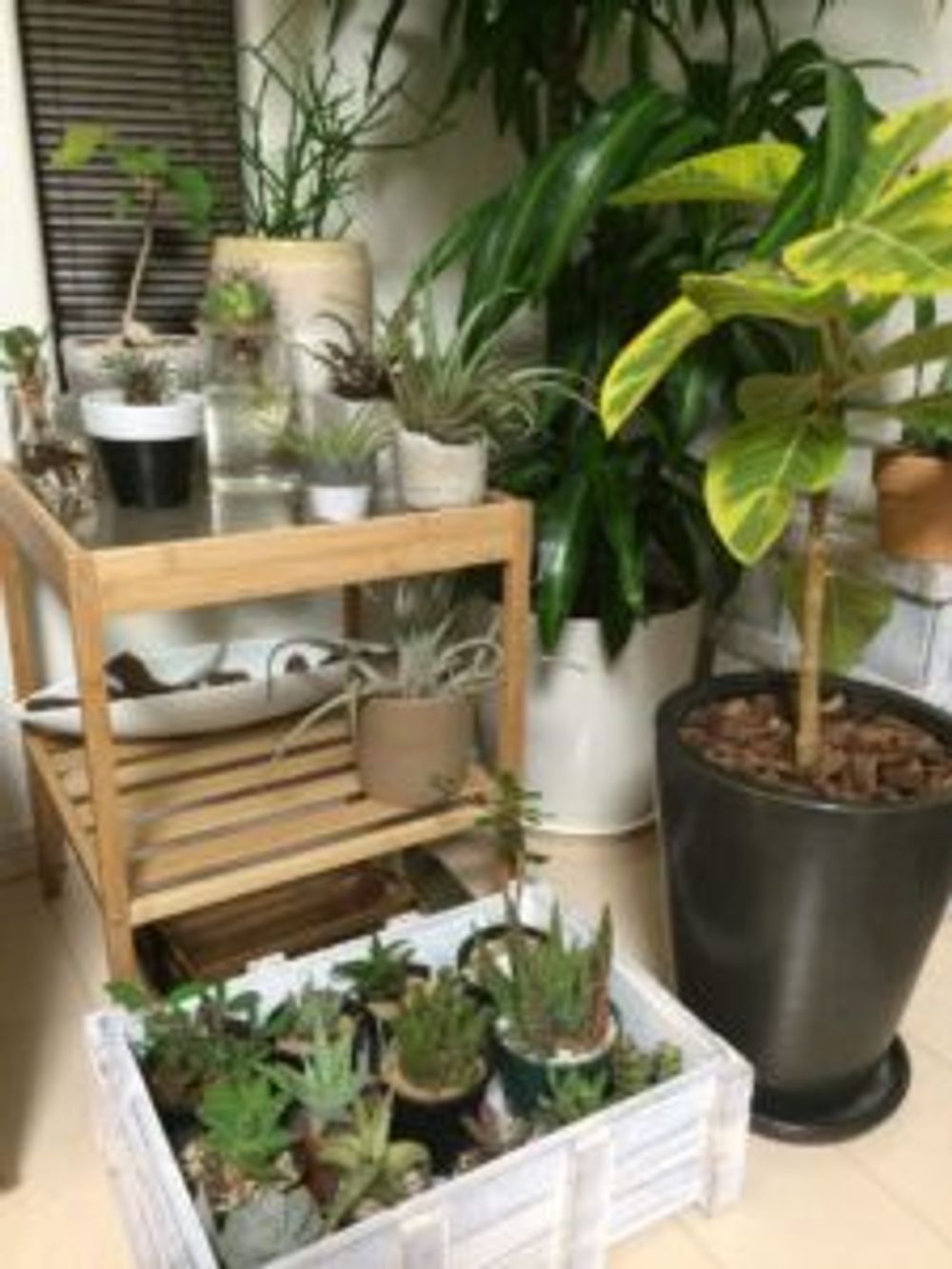 Photo by かいと力士さん