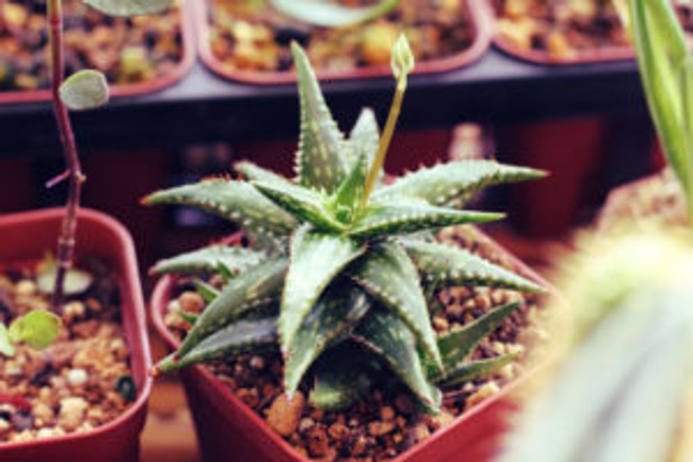 Photo by GINZAHAIRさん