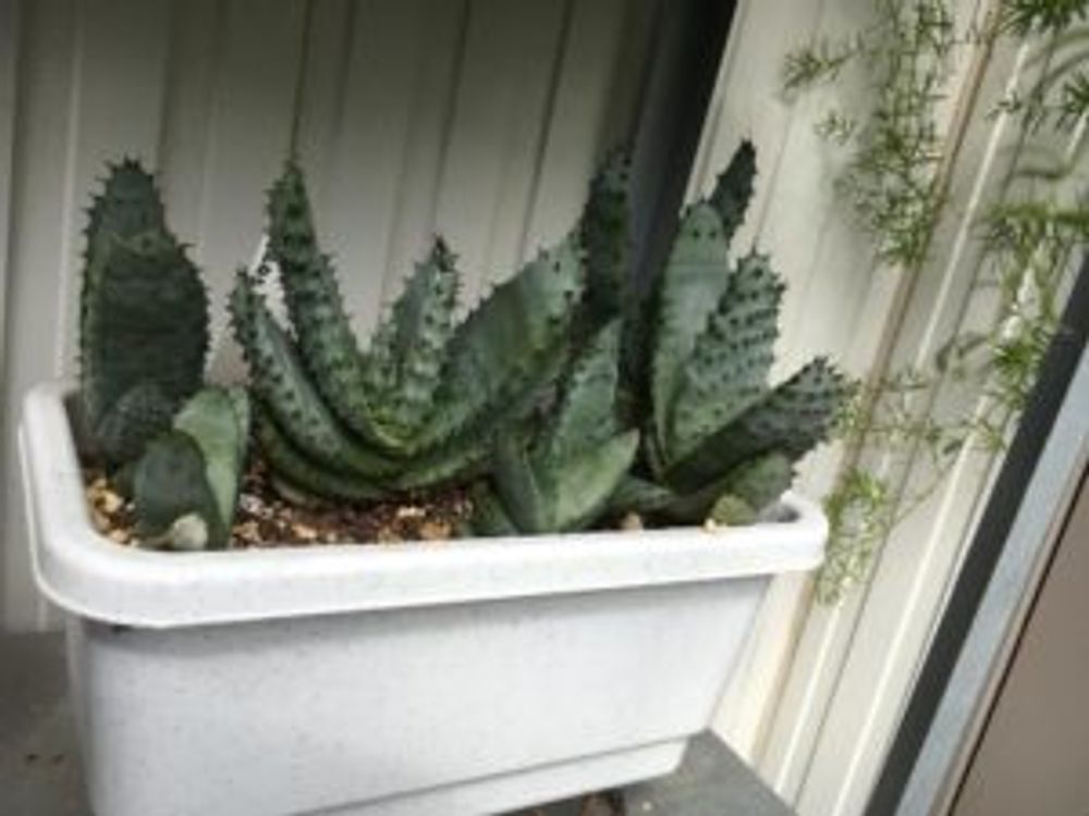 >Photo by ティノさん