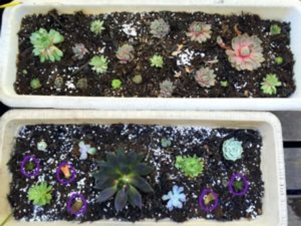 Photo by たらこまるさん