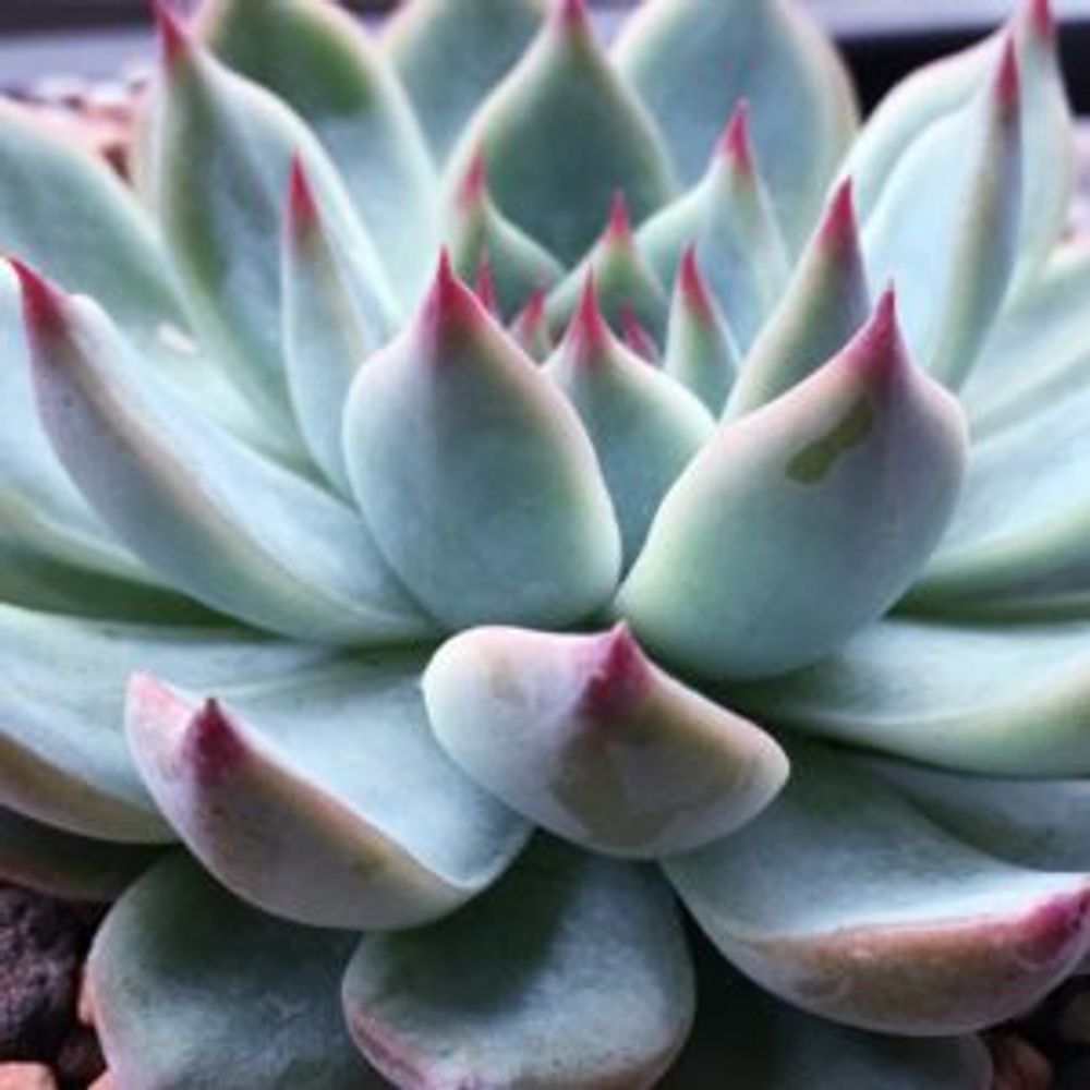 Photo by OgaWorksさん