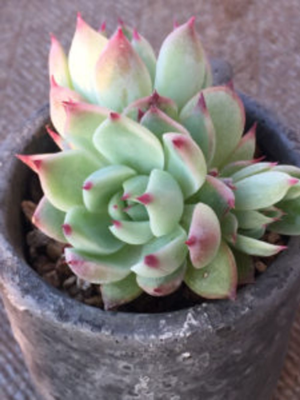 Photo by もなかさん