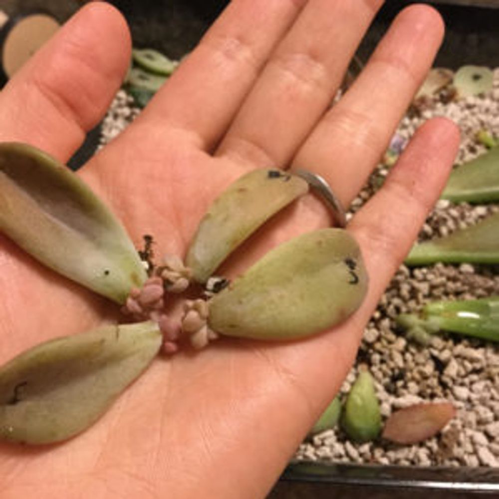 Photo by うーこさん