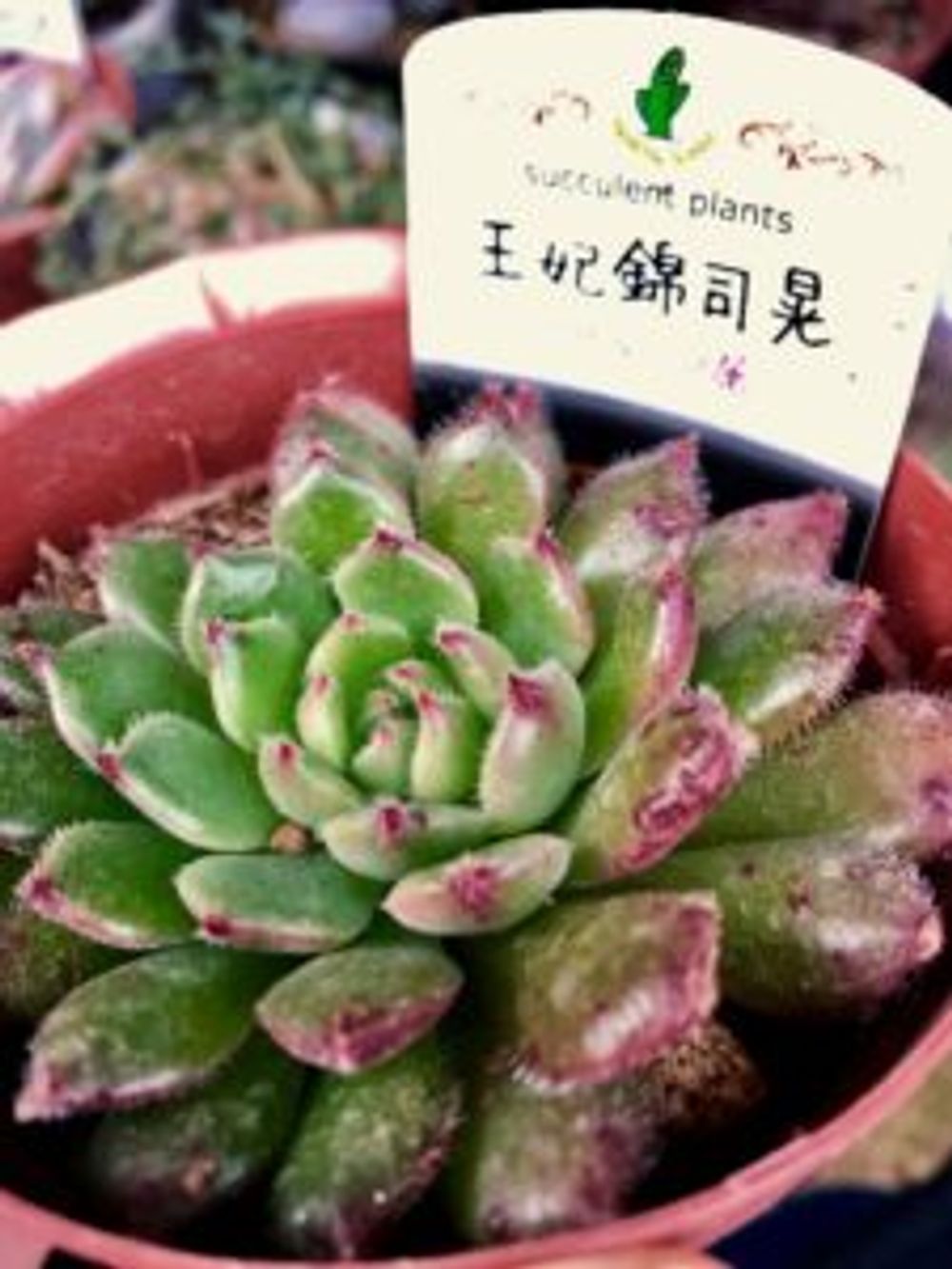 Photo by なおみさん